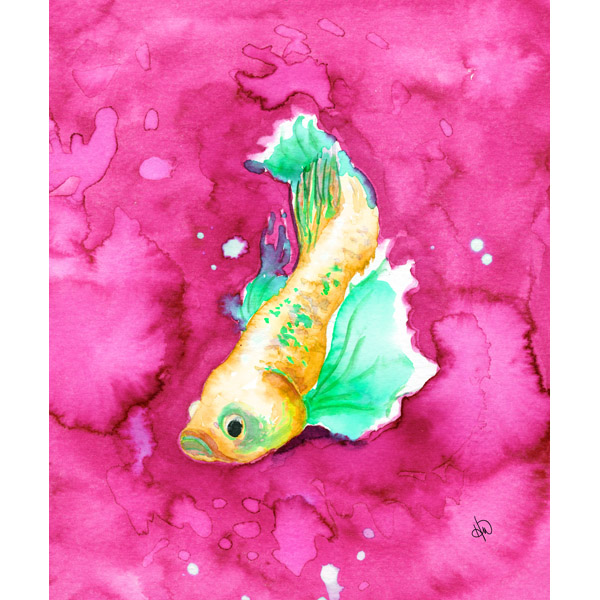 Fairy Fish Alpha