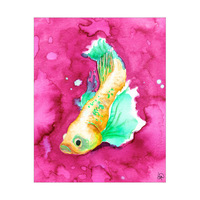 Fairy Fish Alpha