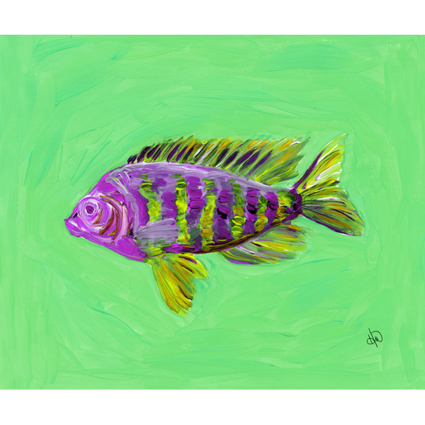 Striped Fish Alpha