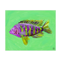 Striped Fish Alpha