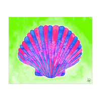 Pecten Jacobaeus Alpha