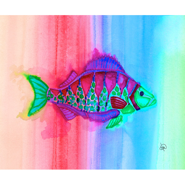 Rainbow Fish Alpha