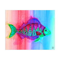 Rainbow Fish Alpha