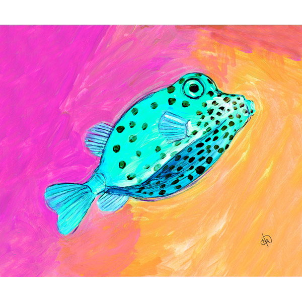 Boxfish Alpha