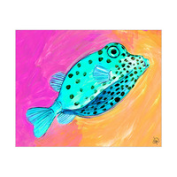 Boxfish Alpha