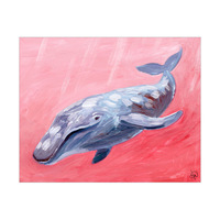 Humpback Whale Alpha