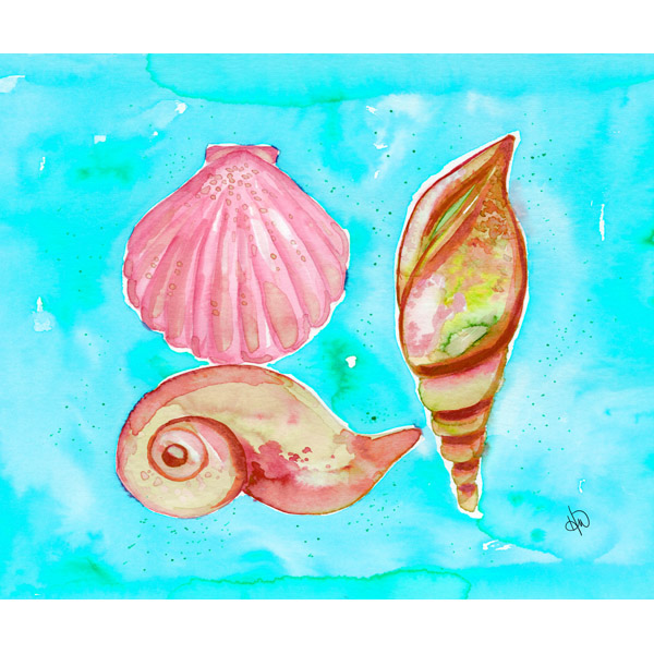 Watercolor Sea Shells Alpha