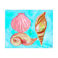 Watercolor Sea Shells Alpha