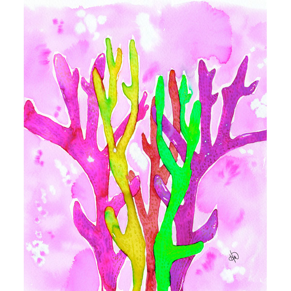 Rainbow Coral Alpha