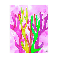 Rainbow Coral Alpha