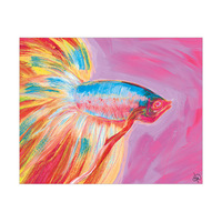 Siamese Fighting Fish Alpha