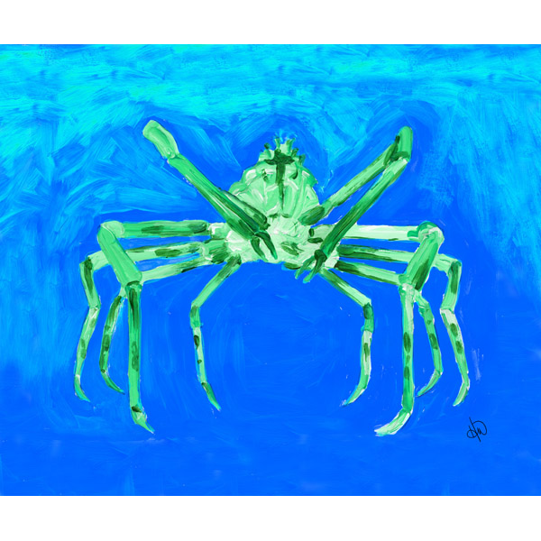 Spider Crab Alpha