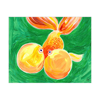 Bubble Eye Goldfish Alpha