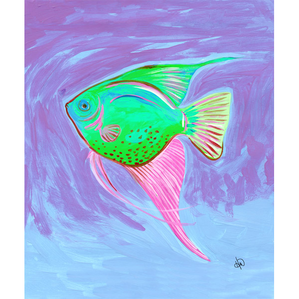 Swimming Angelfish Alpha