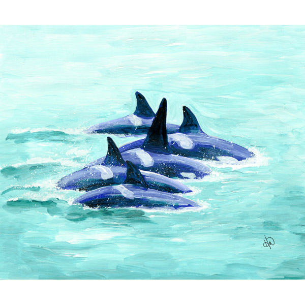 Pod Of Orcas Alpha