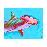 Portrait Of A Hammerhead Alpha