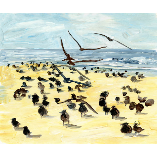 Birds On The Beach Alpha