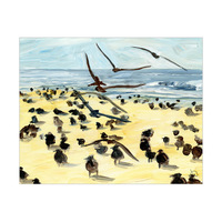 Birds On The Beach Alpha