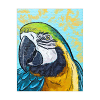 Parrot - Cyan 