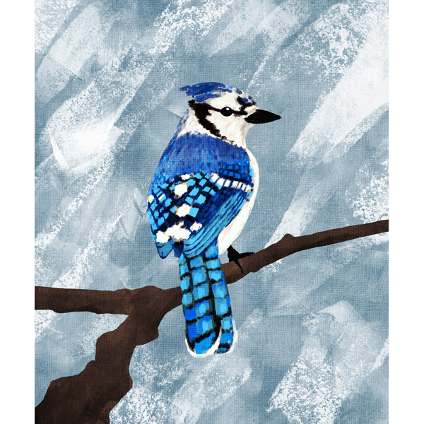Painted Blue Jay