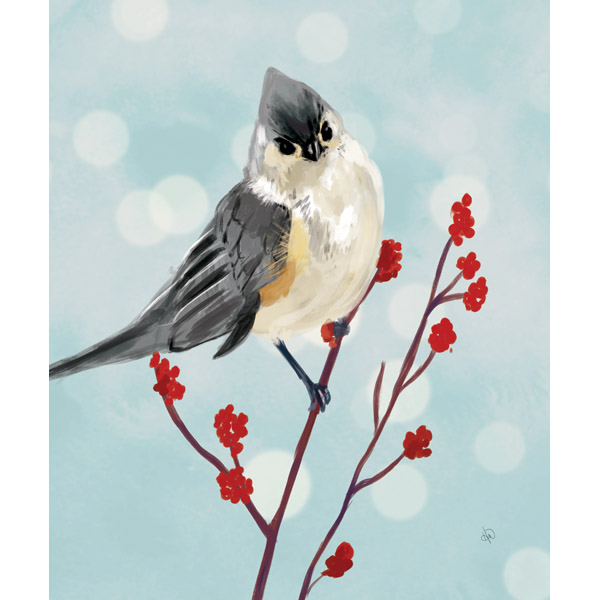 Tufted Titmouse Blue