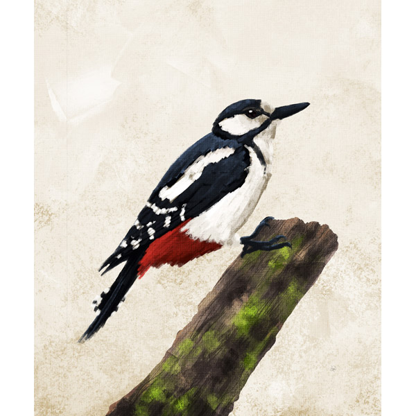 Painted Great Spotted Woodpecker