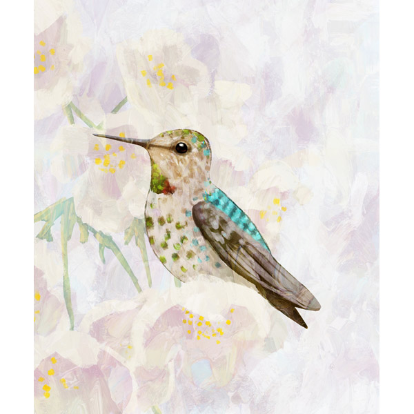 Hummingbird and Cherry Blossoms