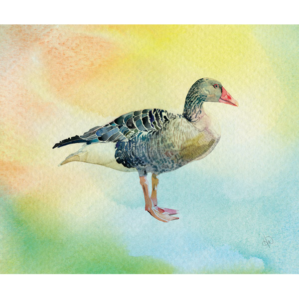 Neutral Watercolor Goose