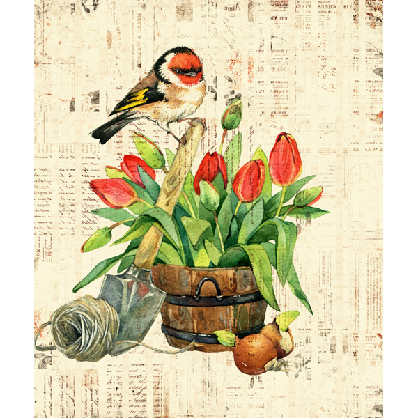 Garden Bird and Red Tulips