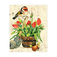 Garden Bird and Red Tulips