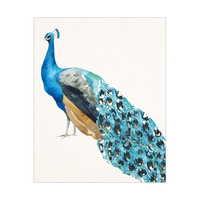 Peacock on Paper