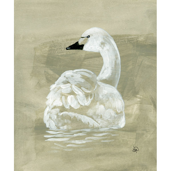 Little Swan Alpha