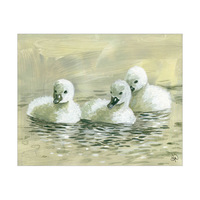 Three Ducklings Alpha