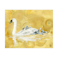 Mother Swan Alpha