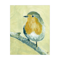 Redbreast Robin Alpha