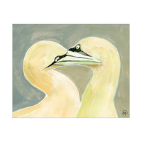 Gannets In Love Alpha