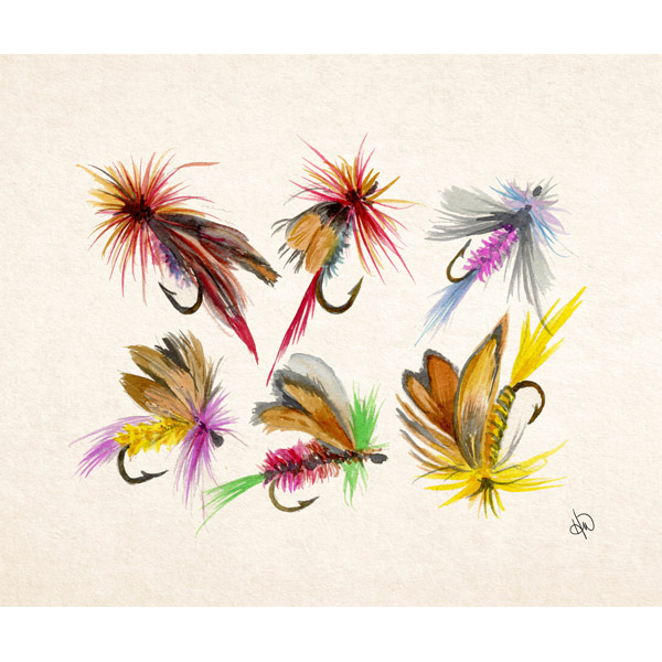 Fly Fishing Collection Alpha