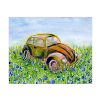 Beetle In Bluebonnets