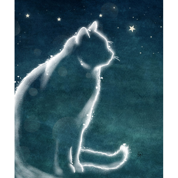 Cat in the Stars