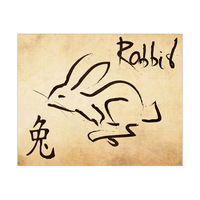 Chinese Zodiac Rabbit - Paper