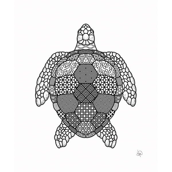 Coloring Turtle