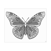 Coloring Butterfly