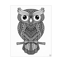 Coloring Owl