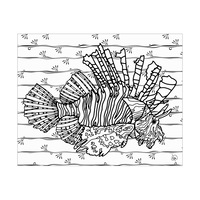 LionFish CL Background