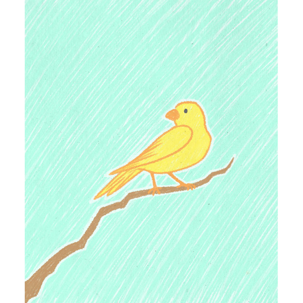 Bird on Branch - Crayon