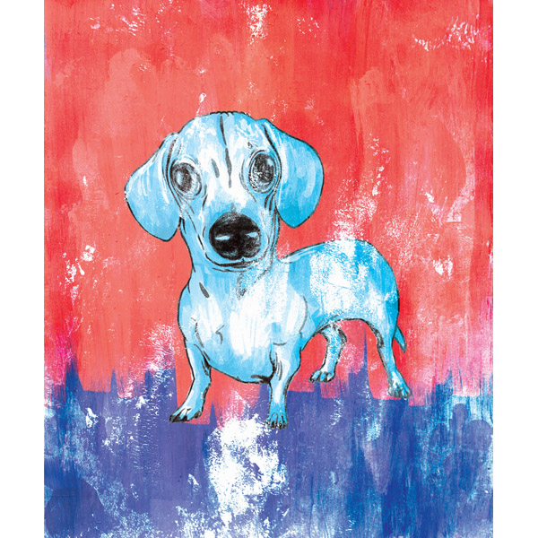 Dachshund - Red and Blue