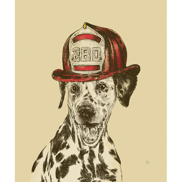 Fire Fighter Dalmation