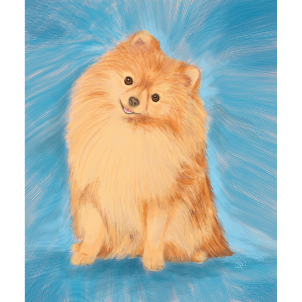 Painted Pomeranian