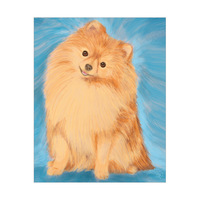 Painted Pomeranian