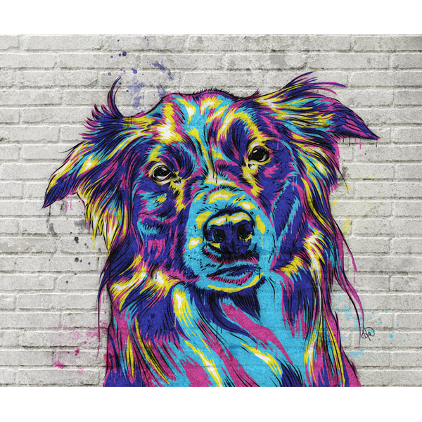 Border Collie Graffiti Alpha